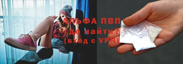 крисы Абаза