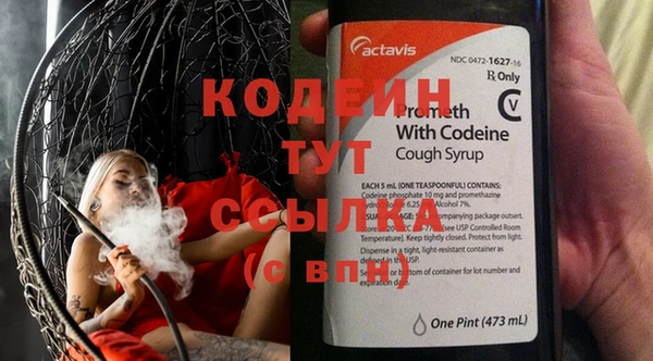 крисы Абаза