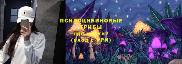 крисы Абаза