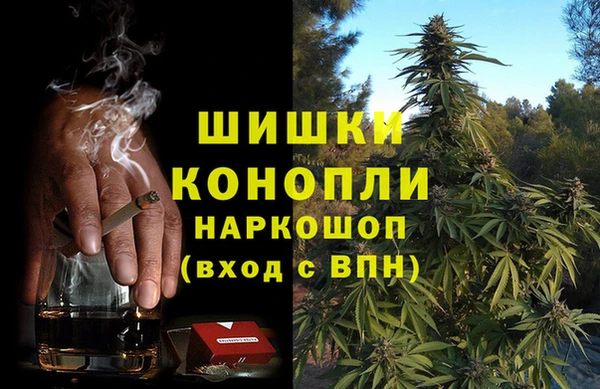 крисы Абаза