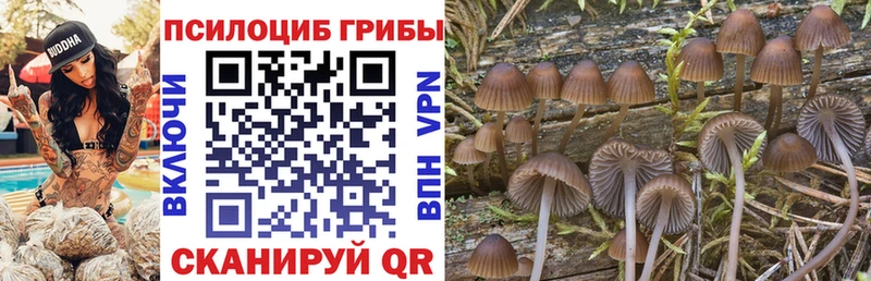 ссылка на мегу онион  Ивангород  Галлюциногенные грибы прущие грибы 