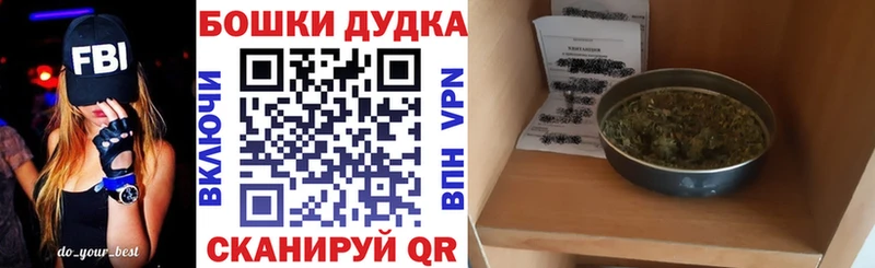 магазин продажи наркотиков  Ивангород  МАРИХУАНА ГИДРОПОН 